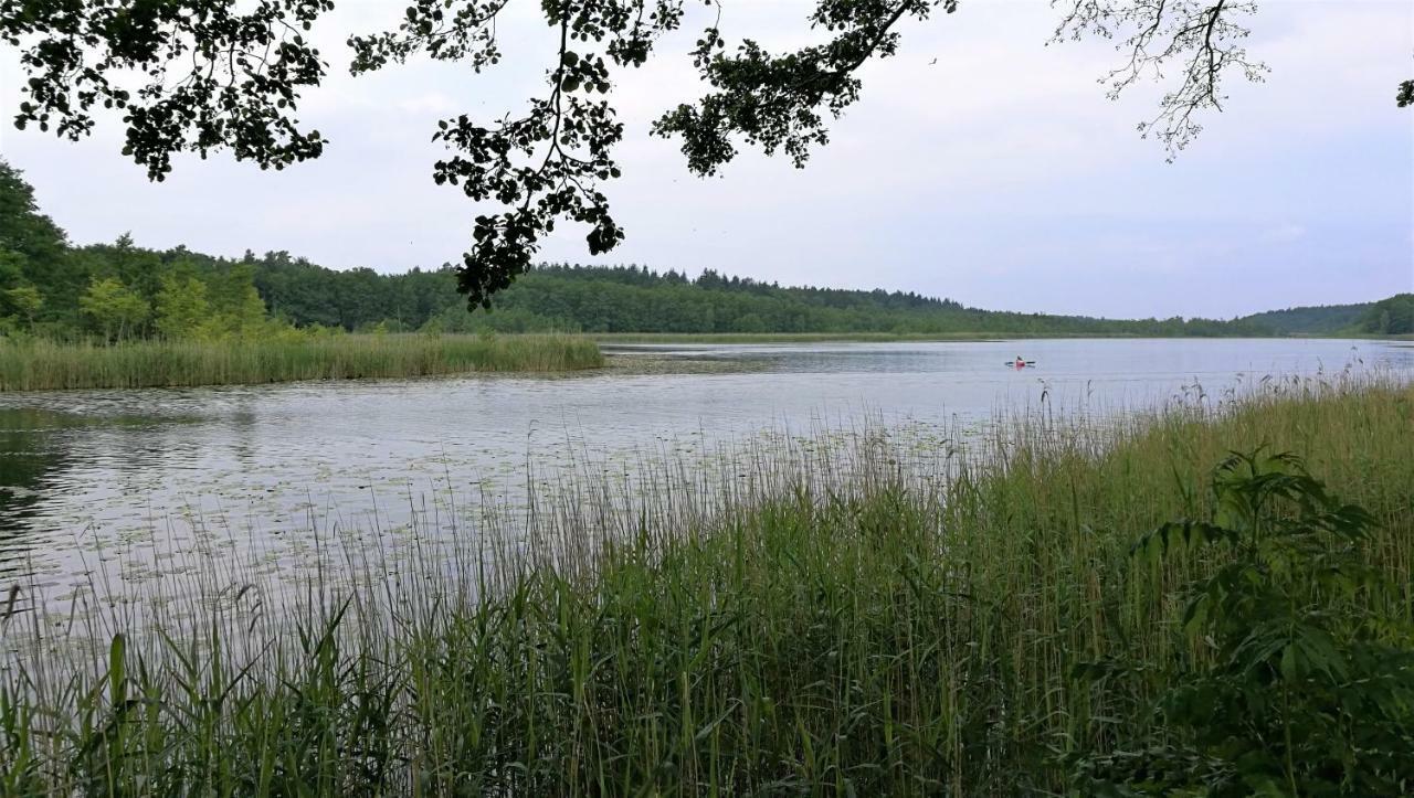 Ferienhaus Dora Villa Rechlin Exteriör bild